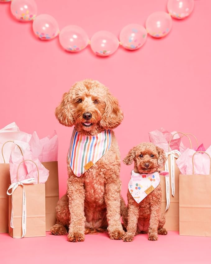 Remy+Roo Large Dog Bandanas - 2 Pack Birthday Set | Premium Durable Adjustable Polyester Fabric Dog Scarfs | Patented Shape, Trendy Patterns | Pack of Bandanas for Dogs