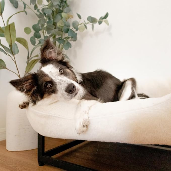 FUZI Elevated Dog Bed Large with Extra Cover, Luxury Raised Dog Beds, Removable and Machine Washable Bed Cover, Indoor/Outdoor Orthopedic Pet Bed, Large 35.6x28.5x18 Soft White and Black Base