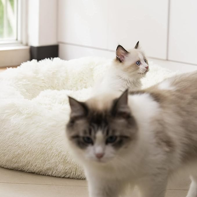 Raimaiso Anti Anxiety Round Fluffy Plush Faux Fur Warm Washable Dog Bed & Cat Bed, Original Bed for Small Medium Large Pets,Used to Relieve Joints and Improve Sleep（20"/24"/27''） (20", White)