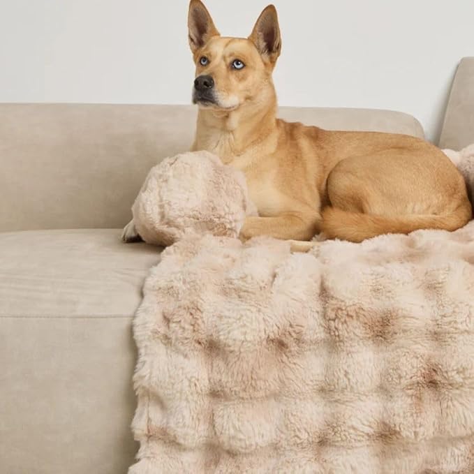 Dream Cloud Pet Sofa Bed – Washable, Waterproof, and High Comfort, Non-Slip Orthopedic Plush Dog Mat for Sofa, Car & Floor (Cappuccino, Medium)