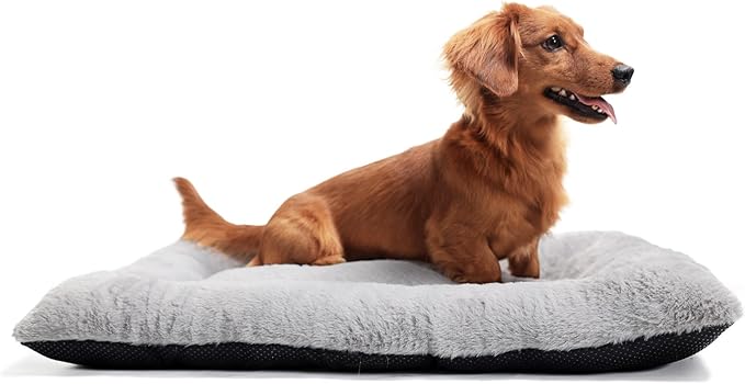 zihapgpzp Dog Crate Pad 30 x 19 for Medium Size Dogs, Super Soft & Plushy Puppy Bed Non-Slip and Machine Washable, Comfort Fluffy Dog Kennel Pad Pet Sleeping Mats,Light Grey 30inch
