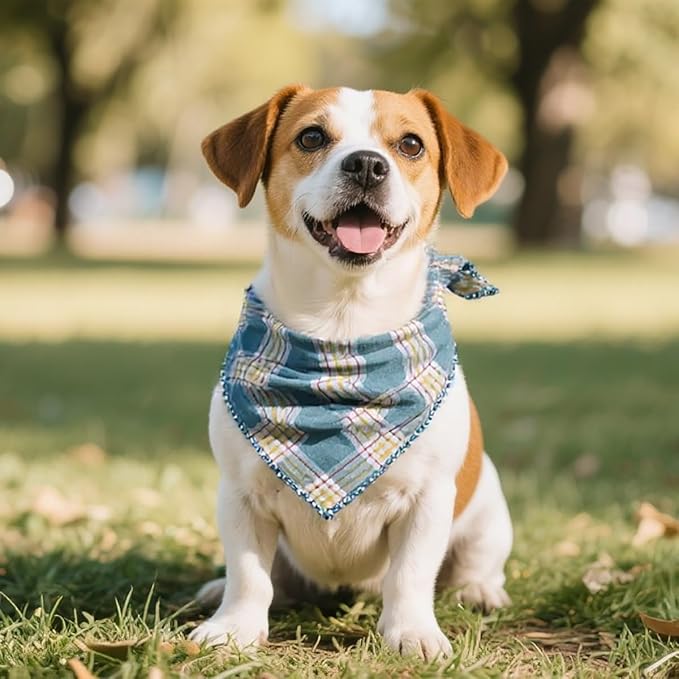 Pemilosci Double Layers Two Tones Dog Cotton Square Bandana Bibs Scarf Kerchief for Small Medium Dogs Boy or Girl - DCB12 G&W