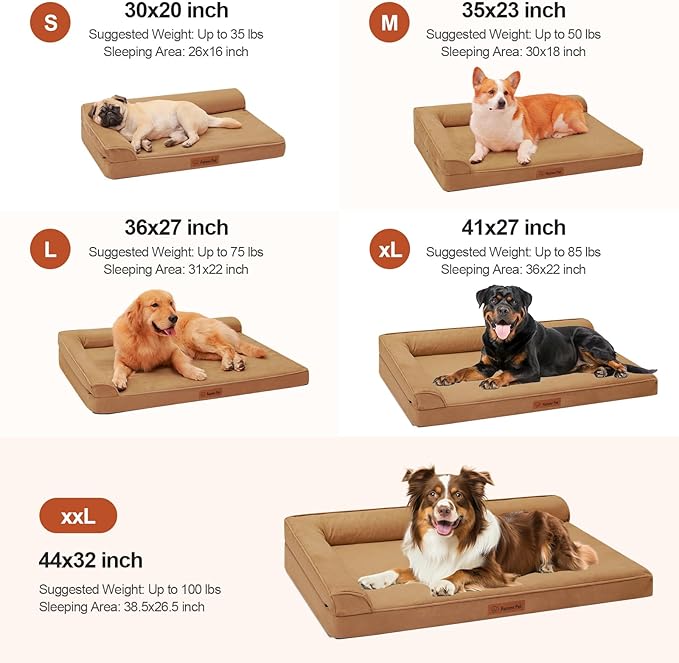Rainmr Orthopedic Dog Bed Medium Size Dog, Memory Foam Dogs Bed for Medium Dogs, Washable and Removable Microsuede Cover, Waterproof Liner, Non-Skid Bottom, 30x20x6 Inches, Khaki