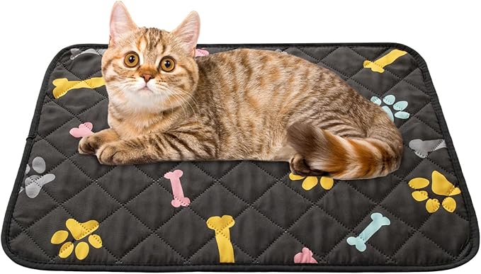 SPXTEX Dog Crate Pads Dog Pee Pads Rugs Washable Dog Pads, Non Slip Puppy Pee Pads for Small Dogs, Waterproof Pet Pad Rug, Dog Whelping Training Pads for Dogs, 2 Piece, 20"x30" Black
