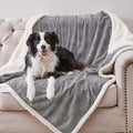 Qeils Waterproof Blanket for Bed Intimacy, Dog Blankets for Large Dogs, Waterproof Cat Blanket Washable, Soft Sherpa Fleece Puppy Blanket, Reversible Throw Protector for Couch Car, 50"X60", Grey
