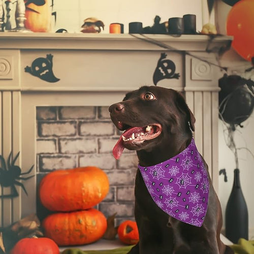 ADOGGYGO 2 Pack Halloween Dog Bandanas, Reversible Triangle Dog Scarf Accessories Halloween Bandanas for Large and Extra Large Dogs Pets (X-Large)