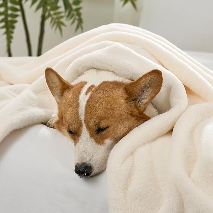 COZY KISS Waterproof Pet Blanket, Ultra Soft Faux Fur Throw Blanket for Couch, Cozy Warm Plush Blanket for Sofa Bedroom Living Room, Liquid Pee Proof for Large Dog or Cat, 40x60 inch, Beige