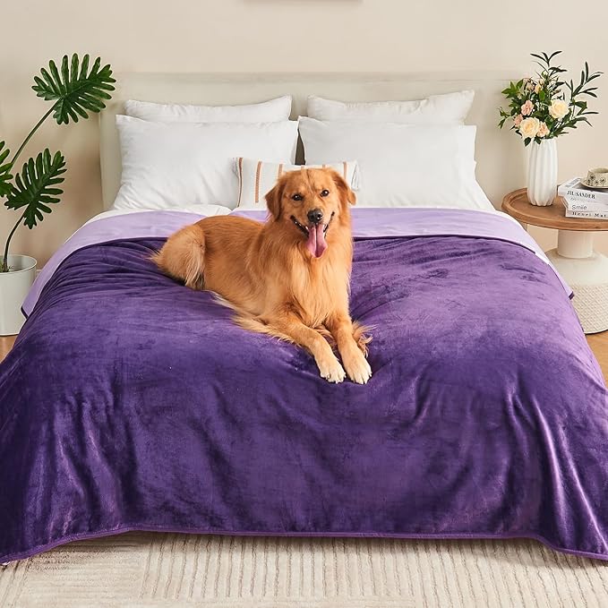 Yaning Waterproof Blanket 60"x80" for Adults, Reversible Waterproof Bed Cover for Dogs Cats Pets, Soft Leakproof Blanket for Bed Couch Sofa Furniture Protector, Dark Purple/Light Purple
