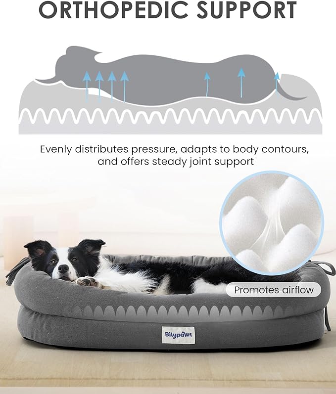 bilypaws Orthopedic Dog Bed for Large Dogs, Pet Sofa Bed with Egg Crate Foam, 4-Sided Bolster, Removable Washable Cover & Anti-Slip Bottom, Large Smoked Gray