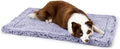 PELZIN Stoutwool Indestructible Dog Bed - Fluffy Chew Proof Dog Crate Pad - Tough Kennel Pad for Aggressive Chewers - Washable, Ideal for Large Breeds & Fits 36-Inch Crate - 35"x22", Jacaranda