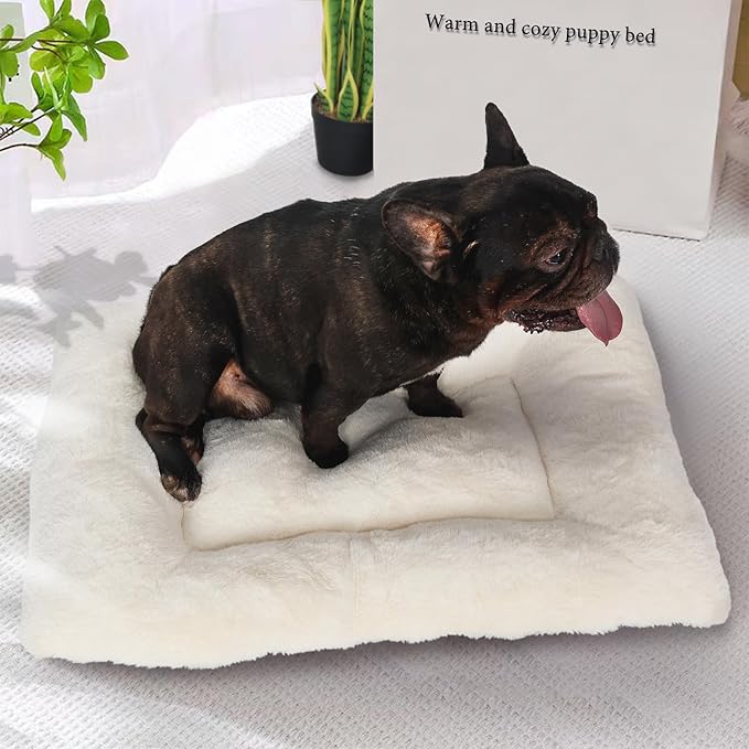 Small Dog Bed for Crate 24 x 18 Ultra Soft Crate Pads for Dog Cages Washable & Anti-Slip Kennel Pad for Dogs Cozy Sleeping Mat Cushion Pillow，Beige 24inch