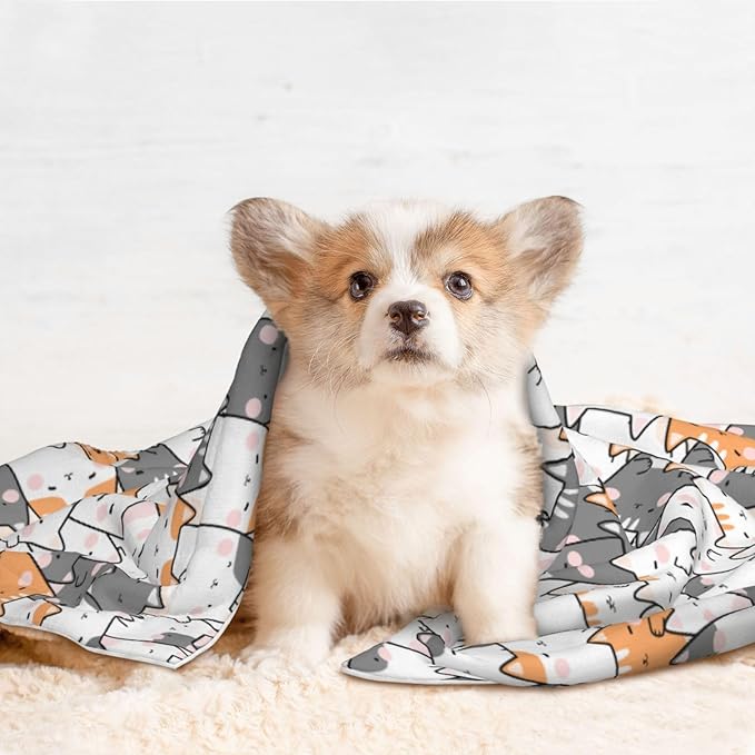 ENSFTF Pet Blanket,Warming Ultra Soft Warming Mat for Indoor Pet Beds & Furniture Reversible Blanket Machine Washable 27.6 * 19.7Inch,Cute Animals Pattern