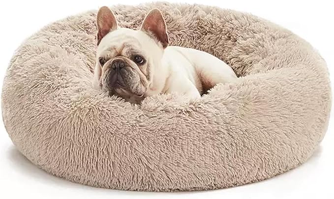 Aofast Calming Dog & Cat Bed for Extra Large Small Medium Sized Pet, Donut Washable Comfort Fluffy Warm Round Mat for Puppy Kitten, 8 Size Essentials Furniture Supplies Indoor