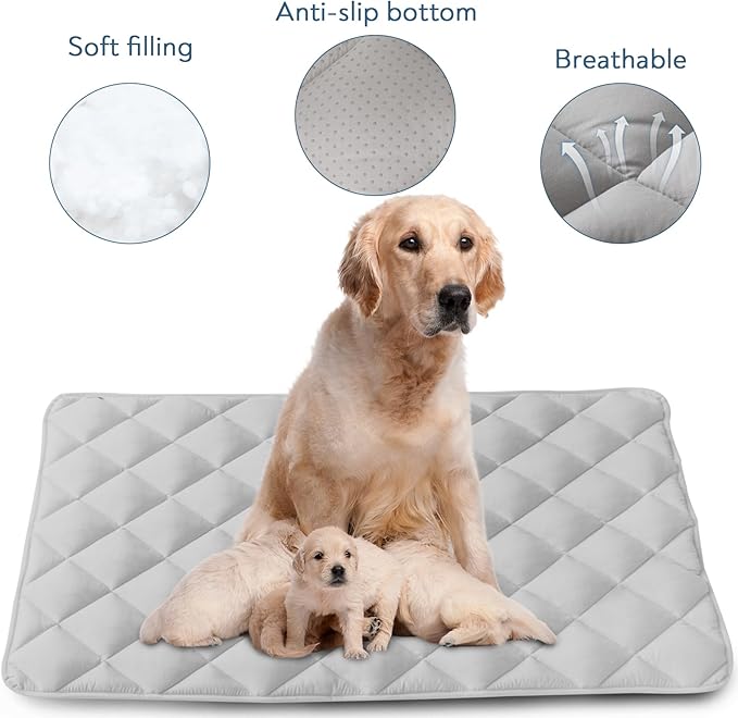 Magik & Kover Dog Crate Pad 2 Pack (48" x 30"), Soft Dog Crate Mat with Anti-Slip Bottom, Machine Washable Kennel Pad, Fits 48 Inch Crate, Grey