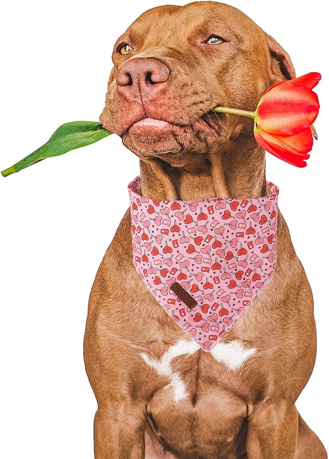 UP URARA PUP Valentine Dog Bandana, Pink Heart Triangle Bid Scarf for Small Medium Dog, Cotton Pet Kerchief for Girl Boy Dogs or Cats, Red Dog Bandana, Cute Adorable Puppy Bandana