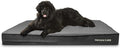 The Dog’s Bed Orthopedic Jumbo Memory Foam Dog Bed, XXXL Grey Plush, Pain Relief for Arthritis, Hip & Elbow Dysplasia, Post Surgery, Lameness Supportive, Waterproof Washable Cover, Veterinary Approved