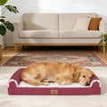 PAWPUBBY XL Dog Bed Extra-Large Orthopedic Memory Foam Dog Bed – for 70 Lbs Dogs, Premium Memory Foam, Machine Washable Cover, Non-Slip Base, Soft Rose Velvet (Dark Gray, XL)