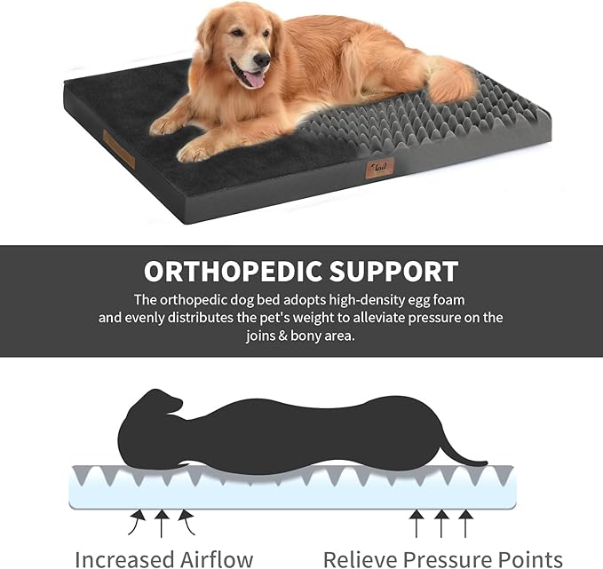 Tail Stories Plush Orthopedic Dog Bed for Medium Dogs & Puppies, Waterproof Dog Beds 29x18 Inch with Removable Washable Cover, Egg Crate Foam Flat Pet Mat, Black
