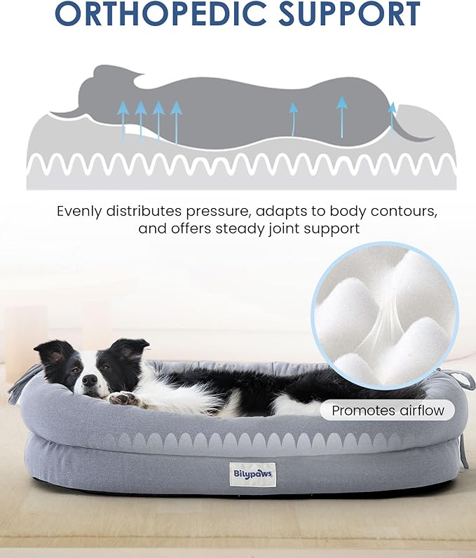 bilypaws Orthopedic Dog Bed for Small Medium Size Dogs, Pet Sofa Bed with Egg Crate Foam, 4-Sided Bolster, Reversible Mattress, Removable Washable Cover & Anti-Slip Bottom, Light Gray