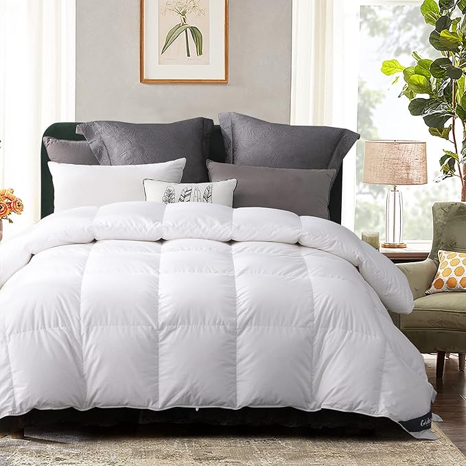 Globon Queen Goose Down Comforter,800 Fill Power All Seasons Luxury Duvet Insert,420 Thread Count Soft Noiseless Shell, Medium Weight with 8 Corner Tabs, White