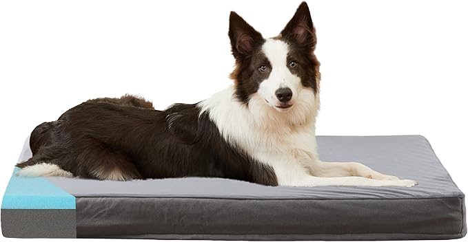 GOHOO PET Orthopedic Memory Foam Bed for Large Dogs, Waterproof Cooling Pet Mats for Crate with Removable Washable Cover,Ideal for Arthritic Dogs (Large plus-36"x 27" x 3", Short Plush)