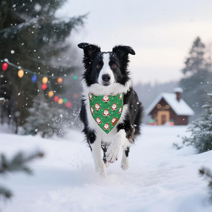 PTDECOR Christmas Dog Bandana, HOHO Santa Design Reversible Holiday Pet Scarf, Premium Durable Fabric, Red Green Triangle Christmas Bandanas for Medium Large Dogs Pets (Large)