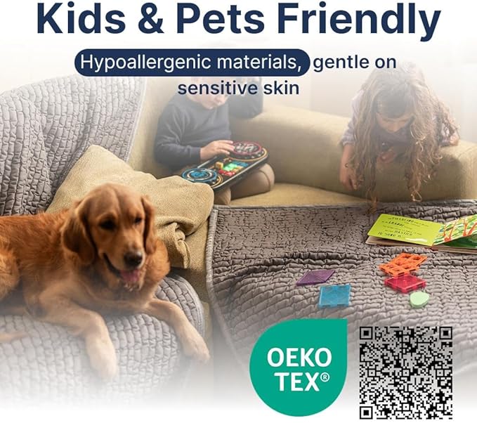 PAULATO BY GA.I.CO. Waterproof Chair Pad – 24x20 Reusable Seat Cover for Car or Wheelchair – Machine Washable Protector for Incontinence – Absorbent Changing Cushion for Elderly Care - Light Grey