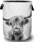 Highland Cow Laundry Basket with Sturdy Handles, Collapsible Oxford Cloth Laundry Hamper Organizer Basket for Bathroom Bedroom 15.7x20 Inch