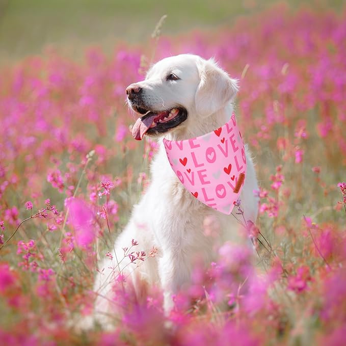 ADOGGYGO Valentine Dog Bandana, Heart and Love Pet Scarf, Premium Durable Fabric, Red Pink Valentine Bandanas for Medium Large Dogs (Large)