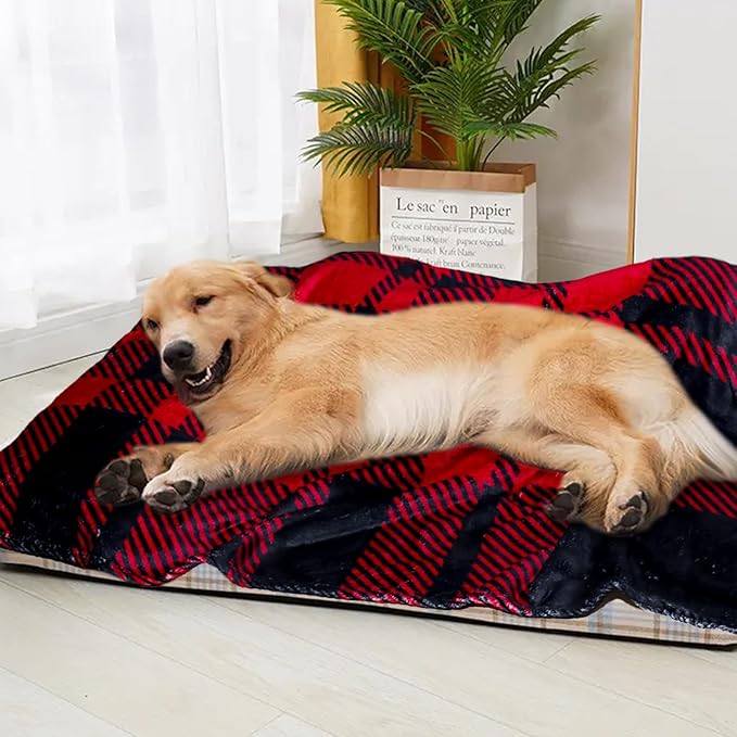 Gowyeg Premium Soft Dog Blanket Washable,43"x30" Cat Blanket for Indoor Cats Large Medium Small Dog Gifts Puppy Essentials (Red/Black)
