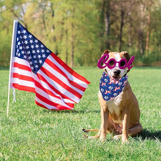 ADOGGYGO American Flag Dog Bandana, Multiple Sizes Offered, Reversible Red Blue Flag Star Scarf, Patriotic 4th of July Bandanas for Small Dogs (Small)