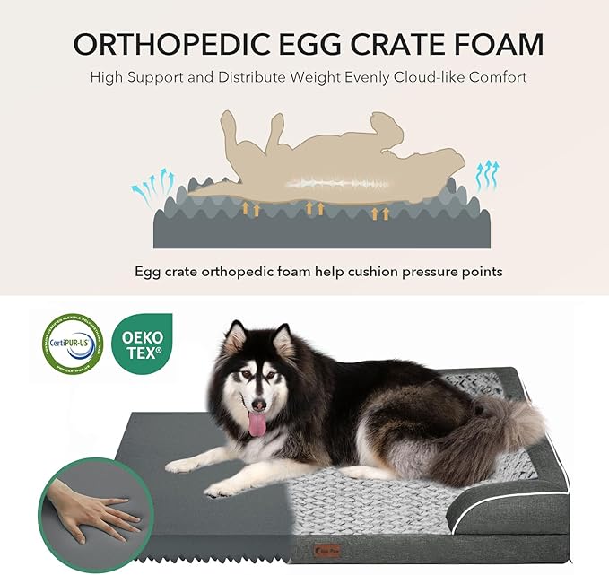 Casa Paw Orthopedic Dog Beds for Extra Large Sized Dogs, Waterproof Memory Foam XL Pet Bed with Sides 48x30Inch, Non-Slip and Egg-Crate Foam Big Dog Couch Bed with Removable Washable Cover, Dark Grey