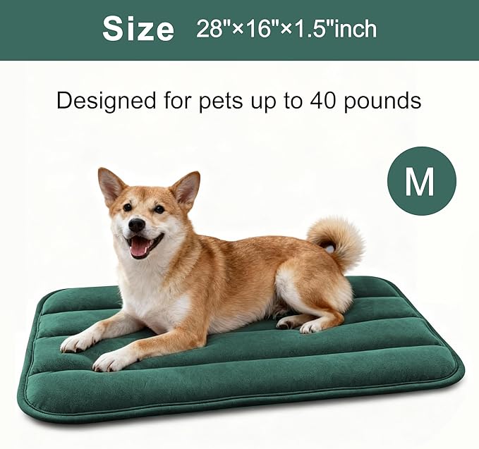 Fogkiss Dog Bed Mat, Reversible Dog Crate Pad with Washable Kennel Mat and Soft Foam, Flat Pet Bed for Dogs & Cats, for Crates Carriers & Travel (Green, 28" L*16" W*1.5" Th)