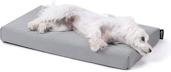 PELZIN Cybarmour Chew Proof Dog Bed - Orthopedic Indestructible Dog Crate Pad - Outdoor Waterproof Kennel Mat for Aggressive Chewers - Small Breeds & Fits 24-Inch Crate - 23"x16", Limestone