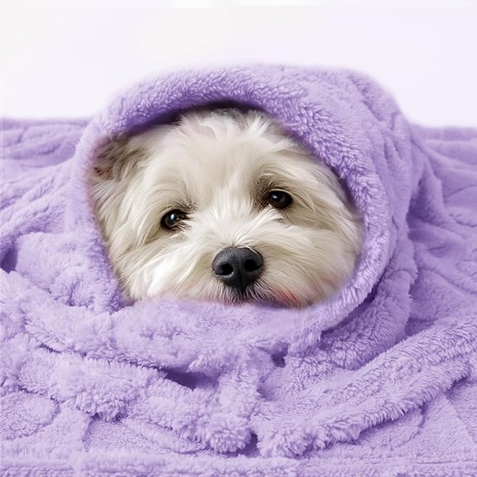 Luciphia Small Dog Blanket Washable Pet Bed Cover Soft Fluffy Puppy Blanket with Premium Fleece 300GSM Cozy Calming Cat Blankets for Indoor Cats Light Purple 57x40 inch