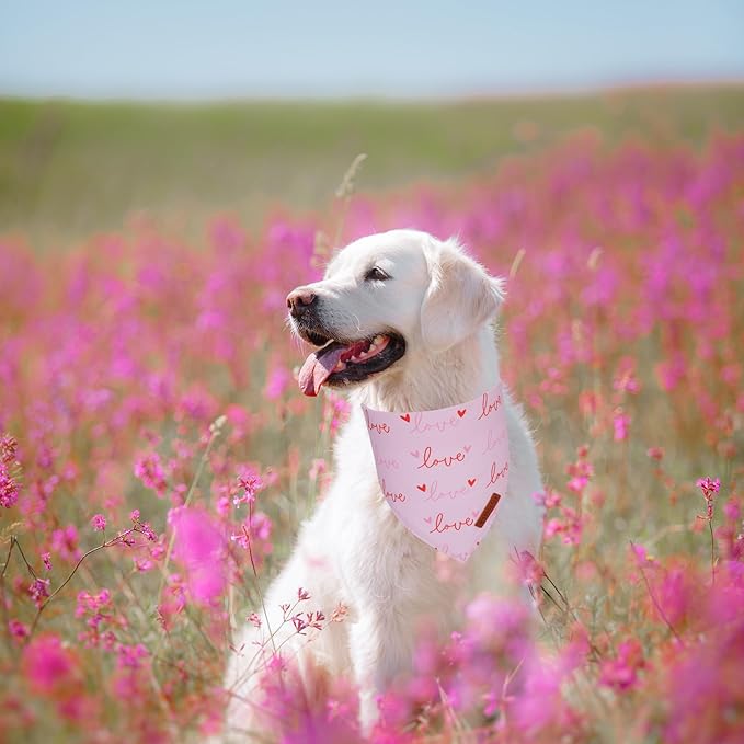 ADOGGYGO Valentine Dog Bandanas 2 Pack, Triangle Reversible Pink White Heart Dog Scarf, Premium Durable Fabric, Pet Valentine Bandana for Large and Extra Large Dogs (X-Large)