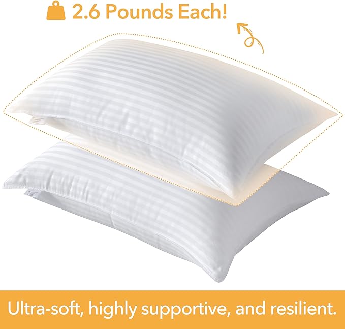 Oubonun Queen Size Pillows Set of 2 - Fluffy & Supportive Down Alternative Pillows with Zippered Cotton Cover - Breathable and Cool for All Sleeping Positions - Machine Washable - 20"x30"