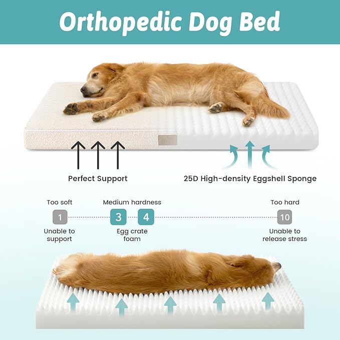 COZY KISS Dog Bed for Extra Large Dogs, Rectangular XL Orthopedic Dog Beds, Foam Anti-Slip Bottom Pet Mat with Washable Removable Cover, Suitable for Pet Up to 100 lbs, 44x32x3 inch, Bed