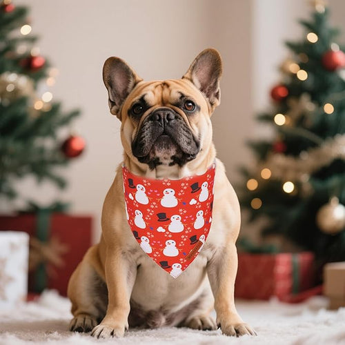 ADOGGYGO Christmas Dog Bandanas 2 Pack, Reversible Snowman Hoho Pattern Xmas Scarf, Premium Fabric, Adjustable Fit Red Green Christmas Bandanas for Small Dogs (Small)