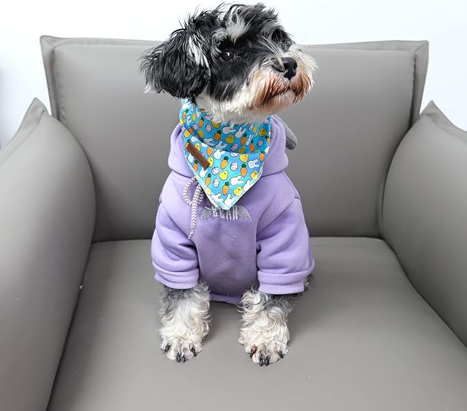 UP URARA PUP Easter Triangle Bid Scarf, Cotton Pet Kerchief for Girl Boy Dogs or Cats, Cute Carrot & Rabbit Dog Bandana, Comfortable Easter Dog Bandana