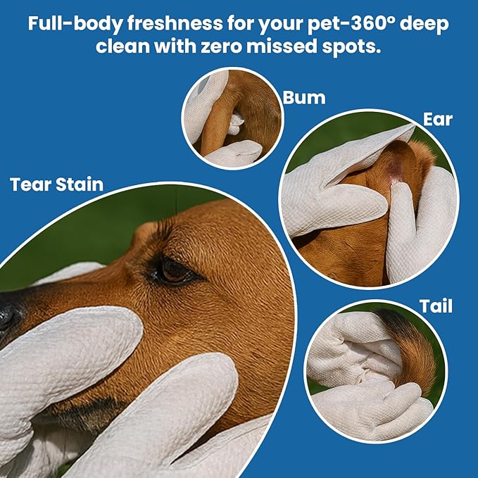 FPN Pet Cleaning Gloves for Dogs & Cats – 10 Count, Unscented No-Rinse Grooming Wipes in Extra-Thick Double-Sided Cleaning Mitts with Coconut Oil, Witch Hazel & Grapefruit – Paw, Fur & Face Cleaning