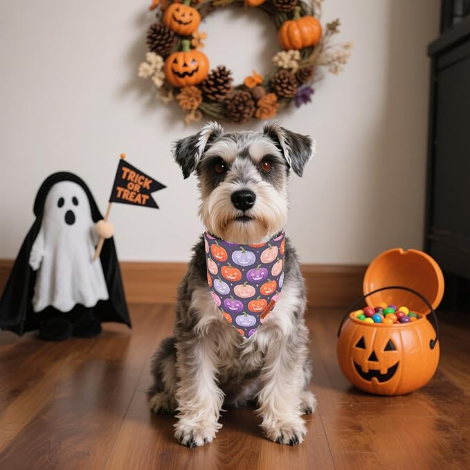 ADOGGYGO Halloween Dog Bandanas 2 Pack, Triangle Reversible Pumpkin Candy Print Pet Scarf Bib, Purple Halloween Bandans for Small Dogs (Small)