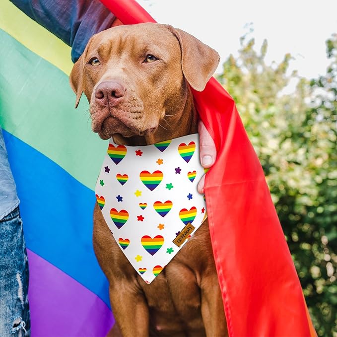 THLOH Pride Dog Bandanas - 2 Pack Reversible LGBT LGBT+ Pet Scarf for Boy and Girl | Premium Durable Fabric | Rainbow Bandana for Small Medium Large and Extra Large Dogs (Pride, Large)