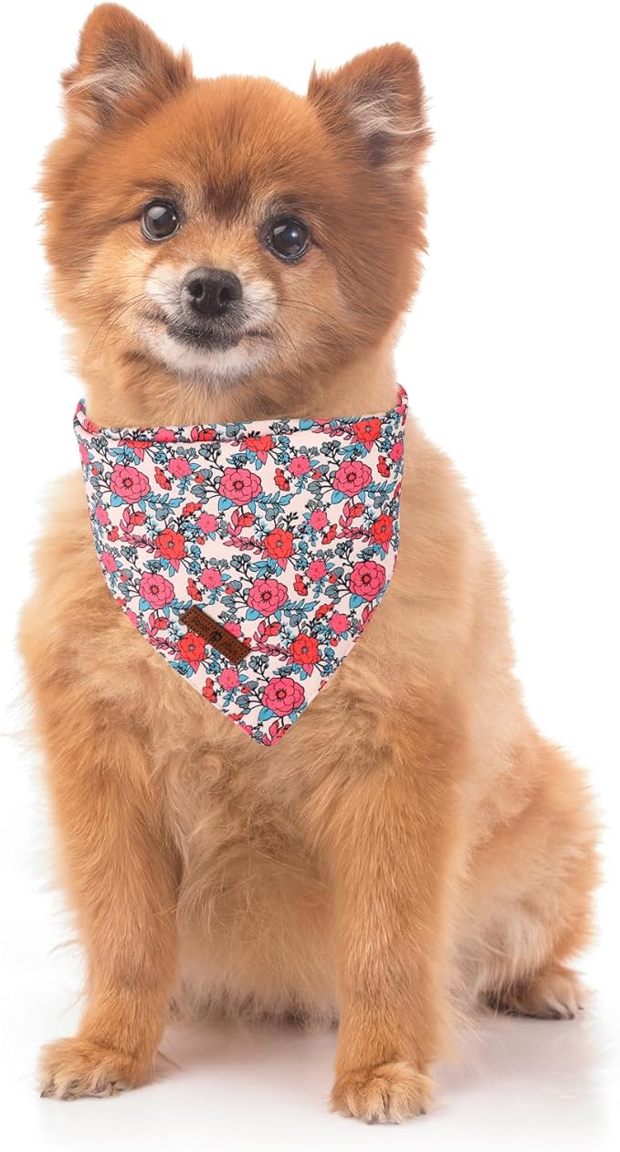 Lionet Paws Valentine's 2pcs Dog Bandanas, Red Floral Dog Scarf Bib Premium Fabric, Happy Valentine Heart Bandanas for Small Dogs Pets