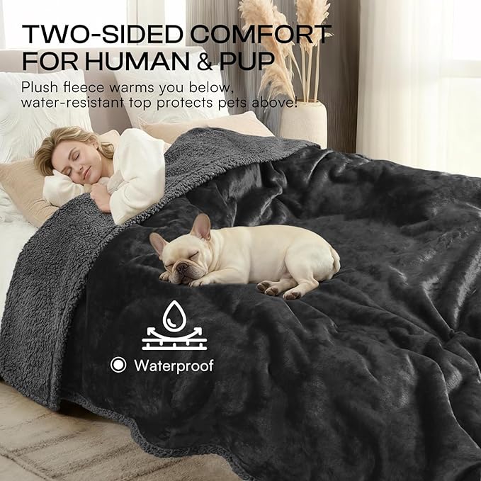 Luciphia Waterproof Pet Blanket, Liquid Pee Proof Dog Blanket for Sofa Bed Couch, Reversible Sherpa Fleece Furniture Protector Cover for Small Medium Large Dogs Cats, Black Queen Size（90" x 82"）
