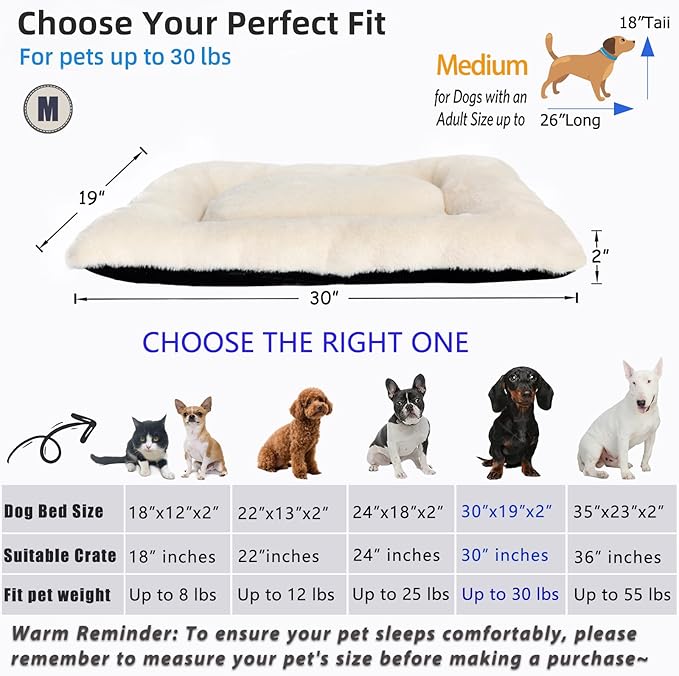 Dog Bed 30x19 for Medium Size Crate Very Soft and Comfy Washable, Fluffy Plushy Plush Pillow Bed Kennel Pad, Non-Slip and Machine Washable Pet Sleeping Mattress Mat for Medium Dogs, 30 Inch, Beige
