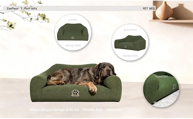 ZoeFleur Pet Sofa Bed, Orthopedic Washable Dog Bed for Small Medium Dogs and Cats, Modern Plush Pet Furniture with Removable Cover(Green)