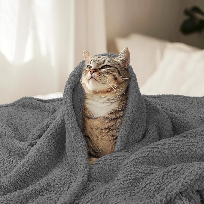 Luciphia Premium Fleece Pet Blanket for Small Medium Dogs Puppy Soft Sherpa Calming Cat Throw Blankets(Grey,57x40 inches)