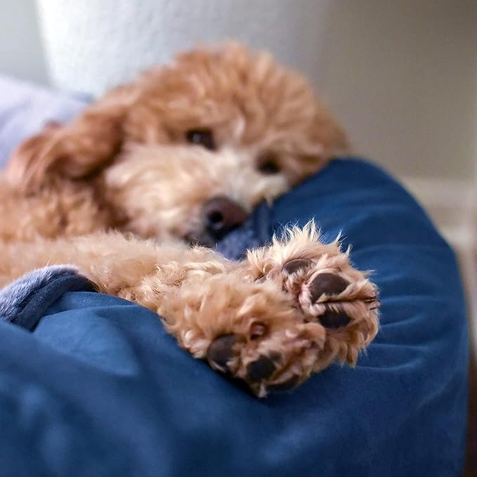 COZY ONE Mia Collection Self-Warming Oval Dog Bed - Ultra-Soft Plush Dream Pet Bed with Removable Velvet Cover - Cozy Dog Beds for Small Dogs (27x24x8 Inch, Blue) - Made in USA