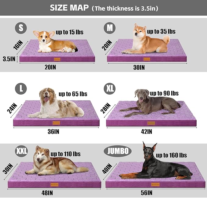 Patas Lague Orthopedic XL Dog Bed Large Sized Dog 48''X30'', Waterproof Soft Comfortable Egg Crate Foam Large Pet Beds Crate Mat with Removable Washable Cover and Nonskid Bottom, Pueple